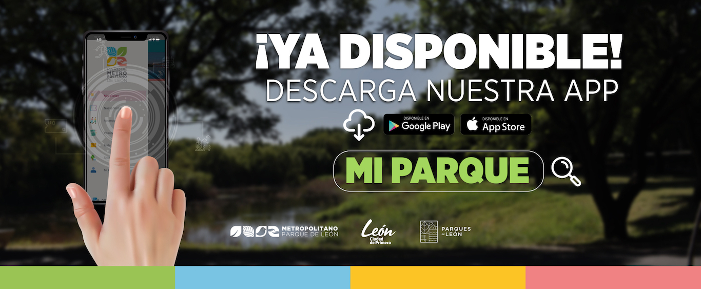 Metropolitano